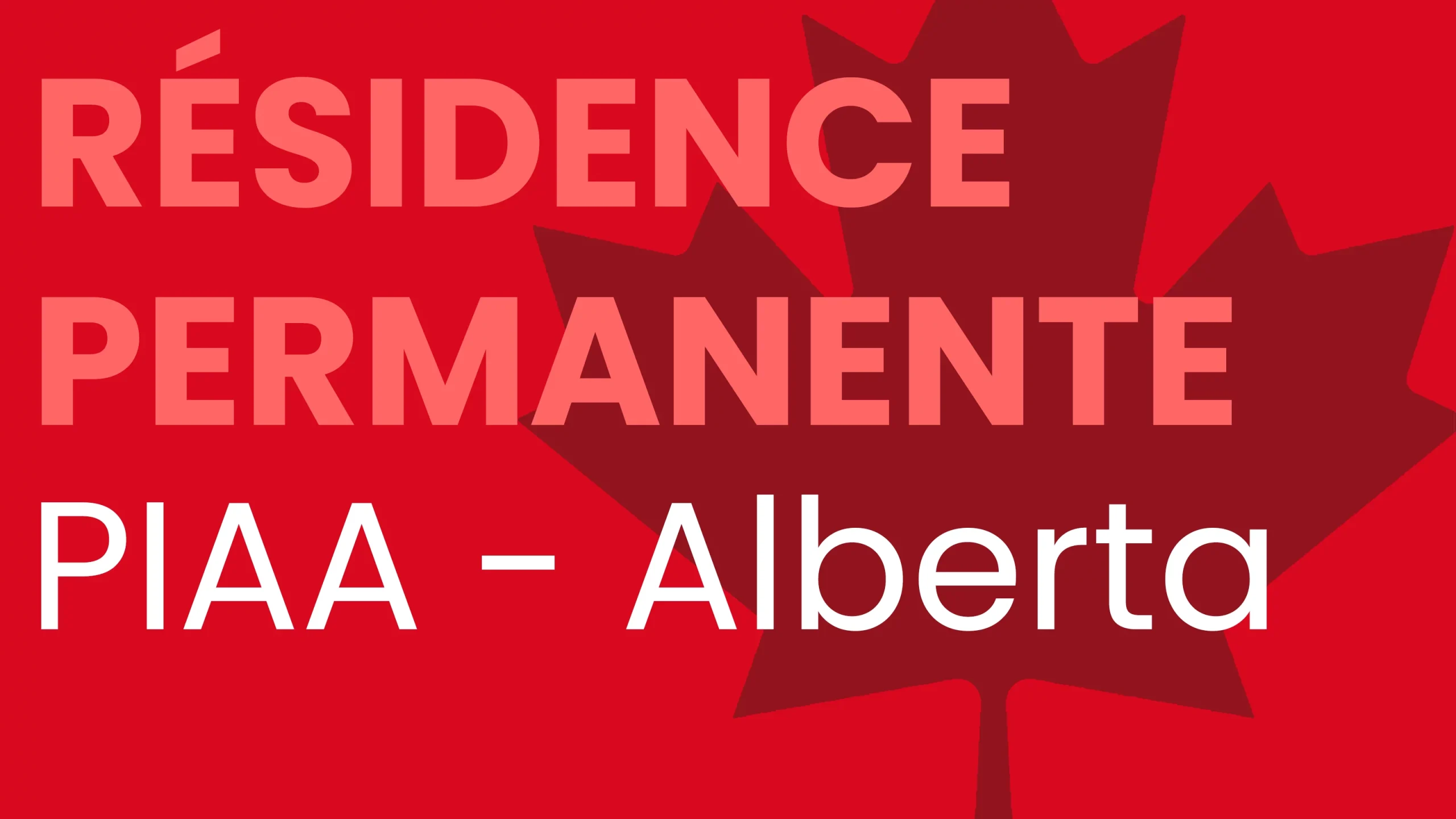 Immigrer en Alberta par l’entrepreneuriat : 2 voies que les francophones ignorent